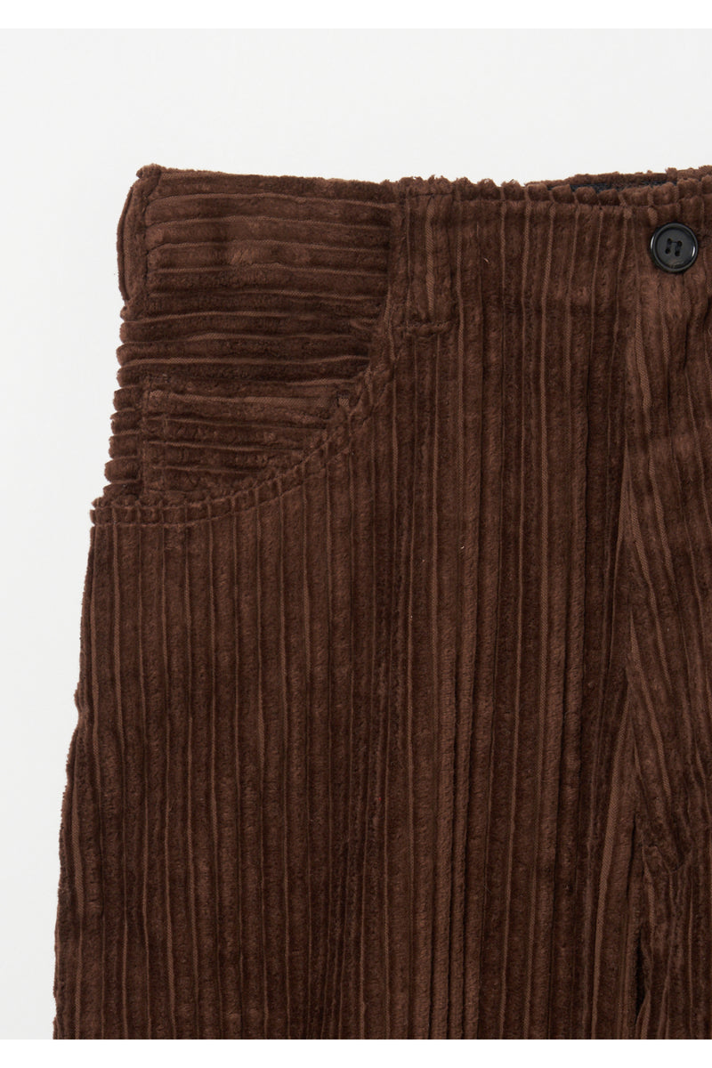 Corduroy Pants