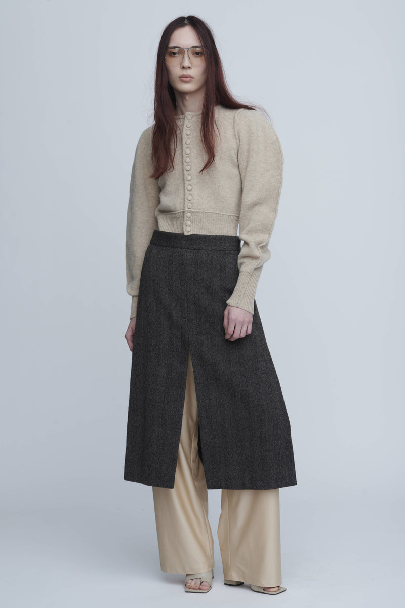 Transform Slit Skirt A　